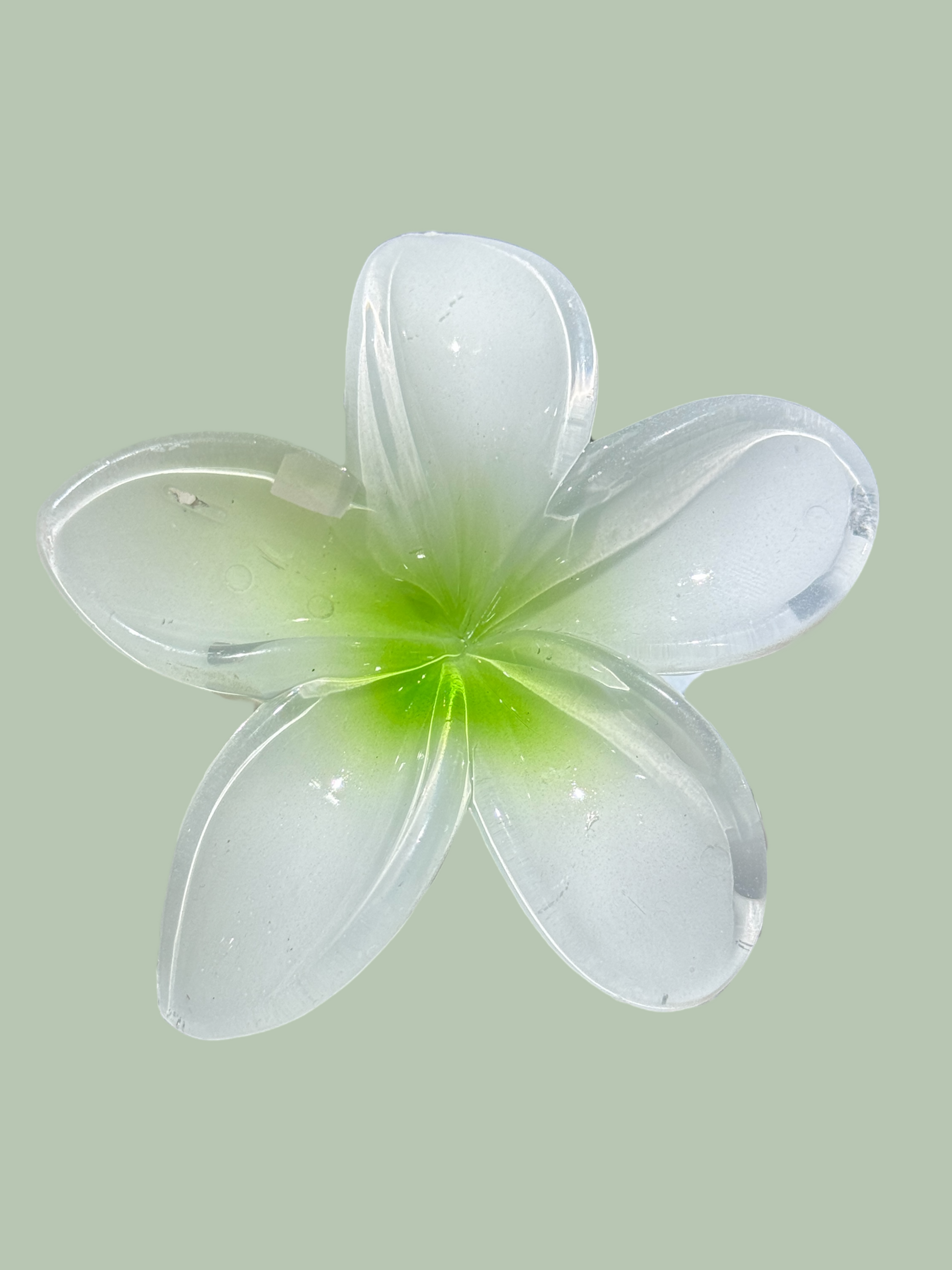 Pinza de Flor Verde con Blanco