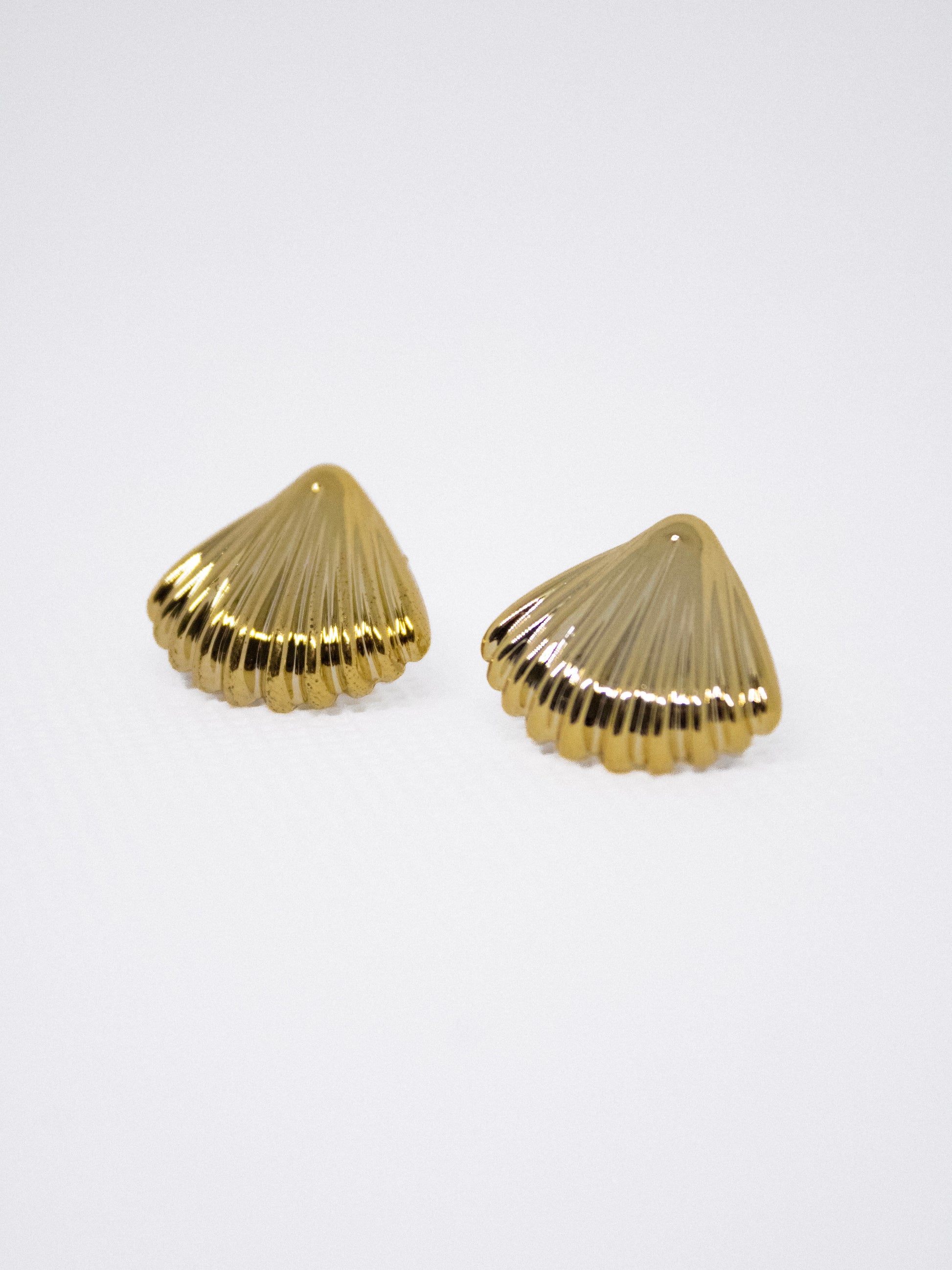 Chuncky Earrings