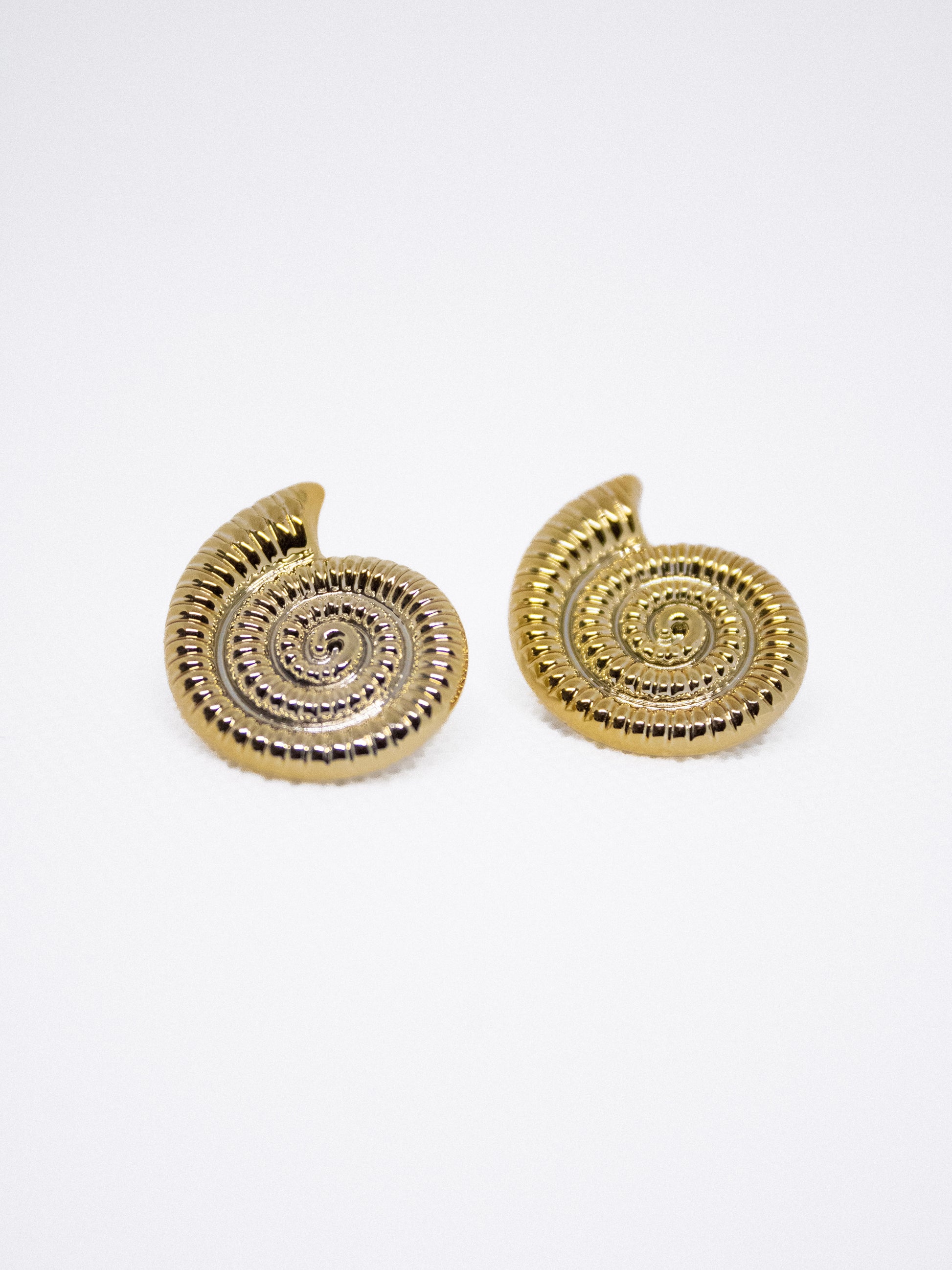 Chuncky Earrings