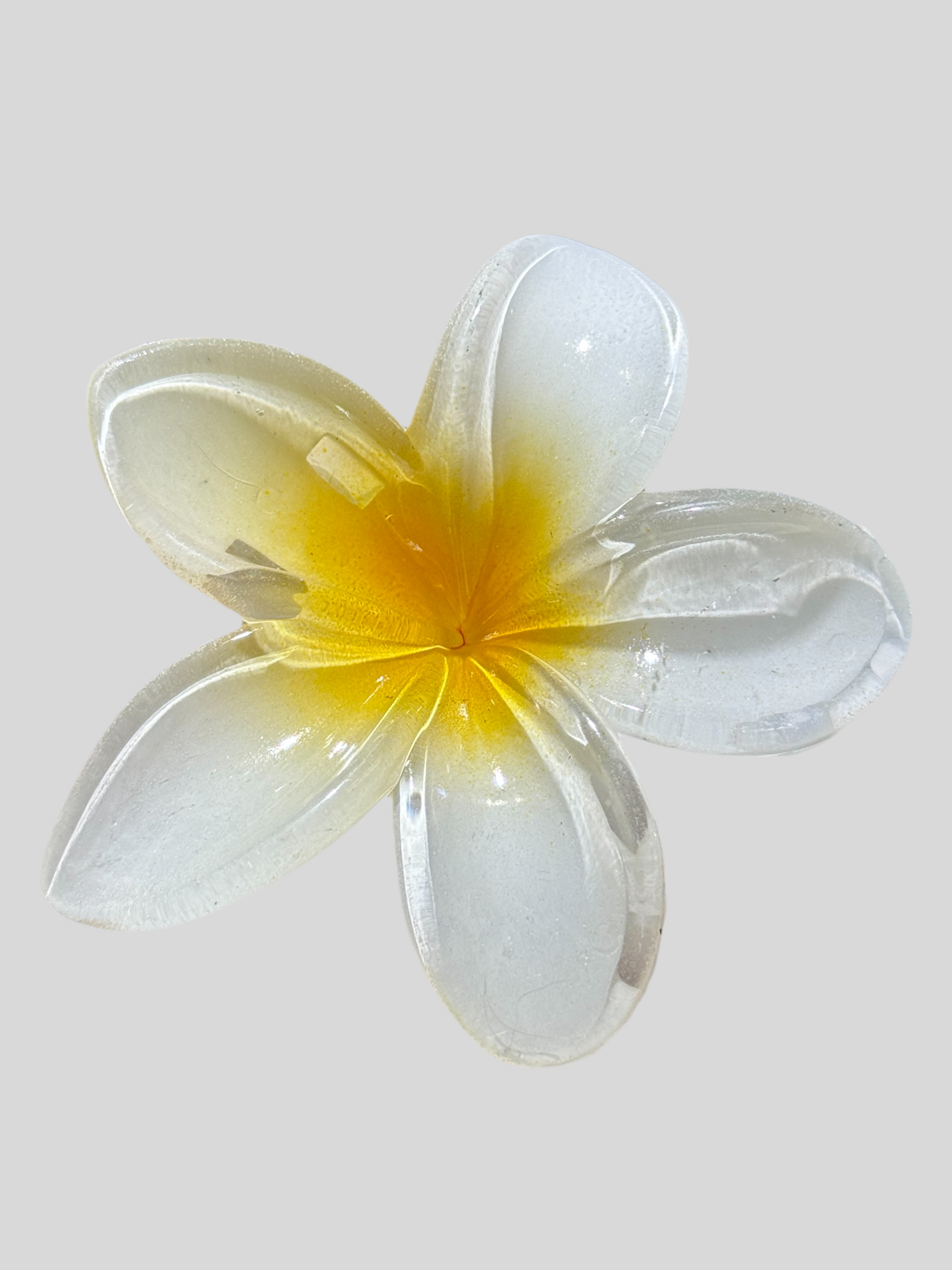 Pinza de Flor Amarillo con Blanco
