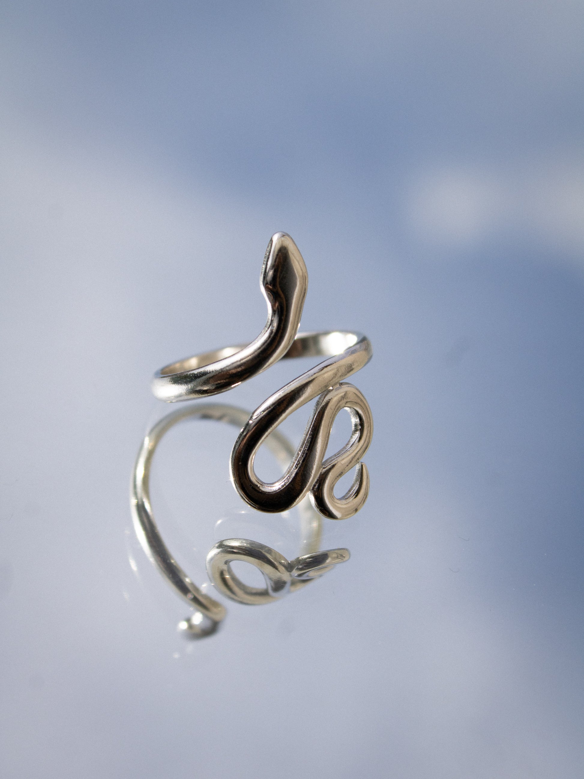 Snake Ring