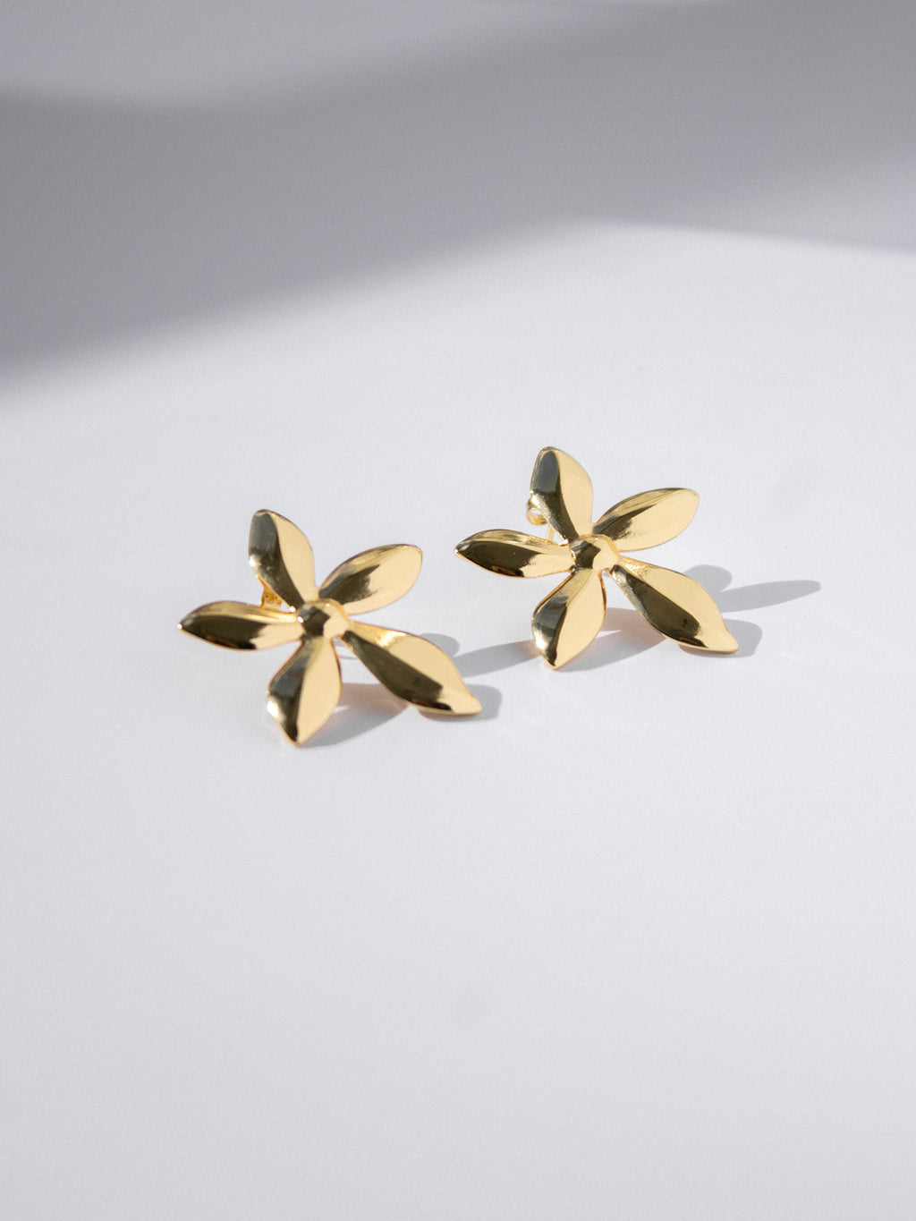 Chunky Earrings