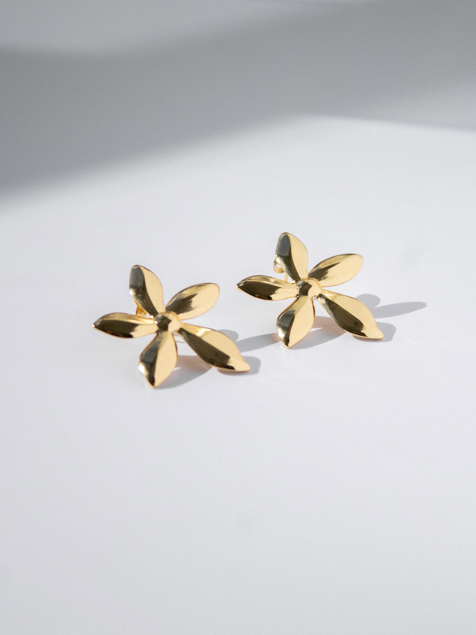 Chunky Earrings