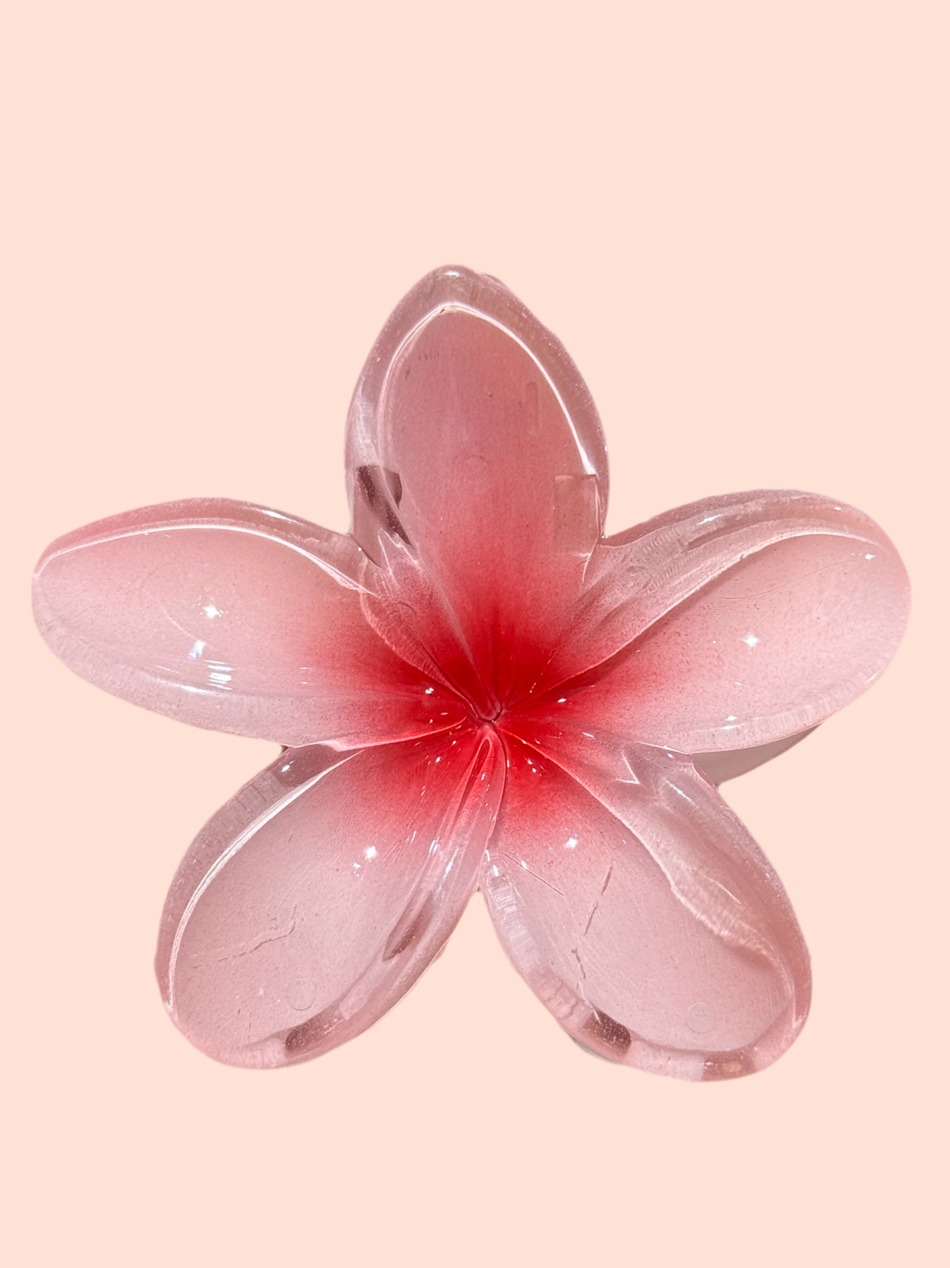 Pinza de Flor Rosada con Fucsia