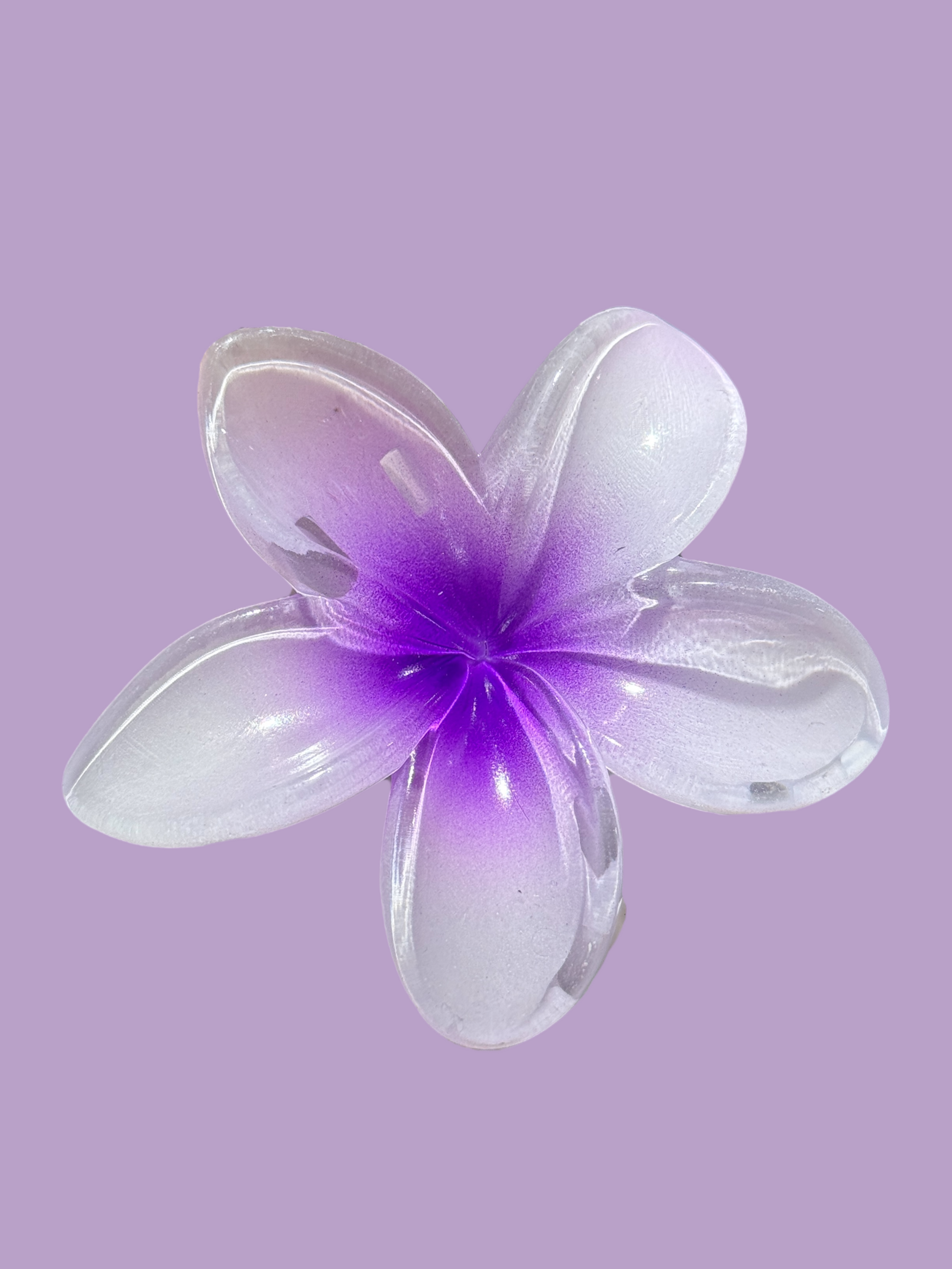 Pinza de Flor Morado con Blanco
