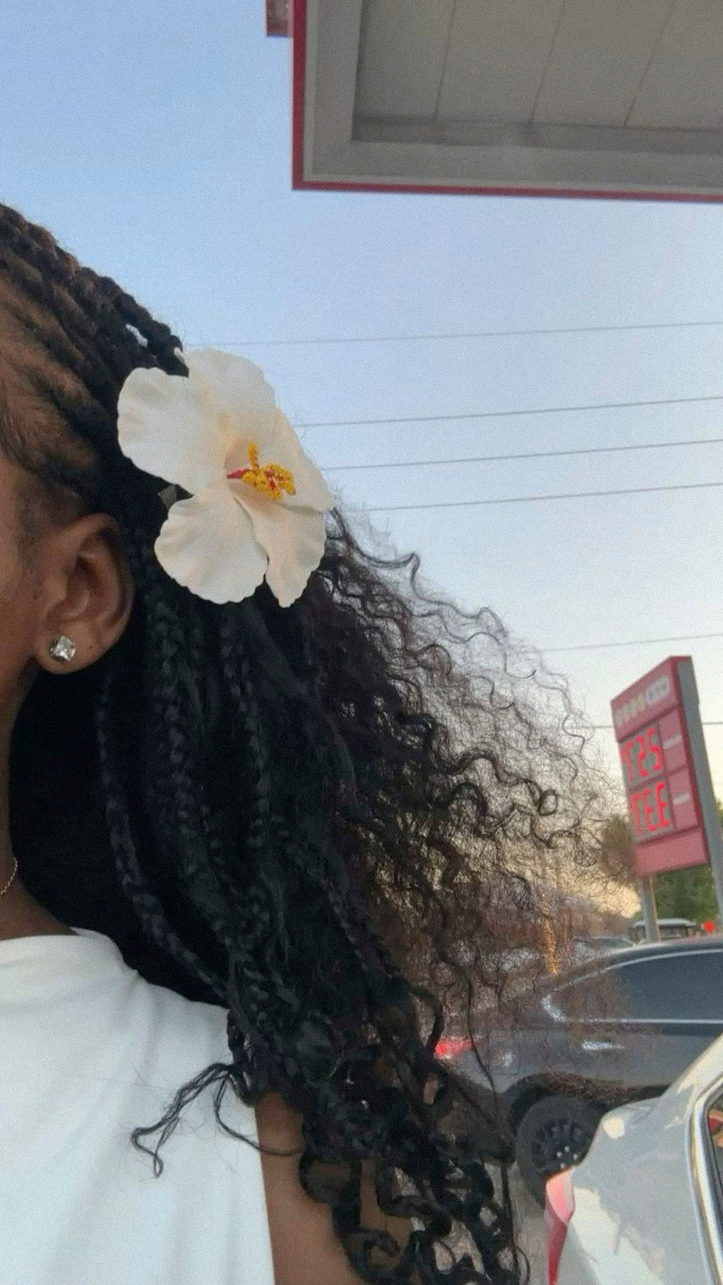 Flower clip
